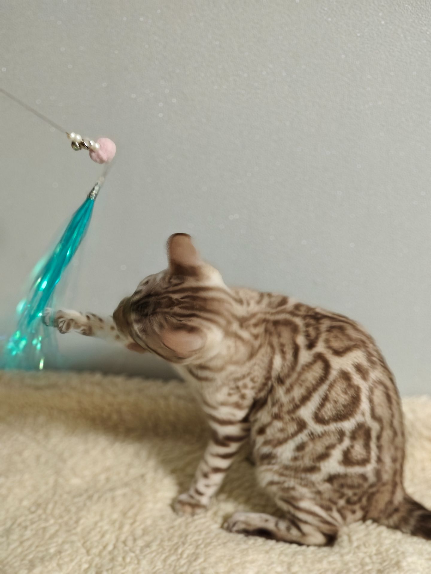 Дівчинка Daniela