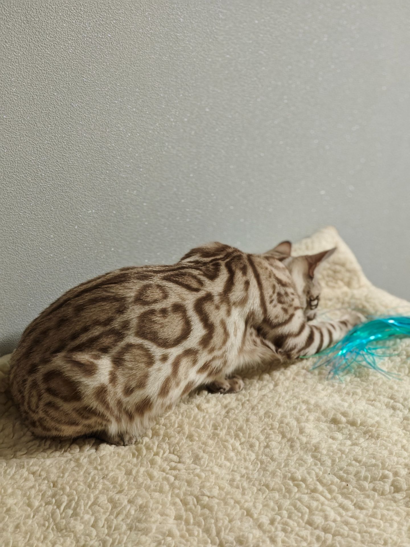 Дівчинка Daniela