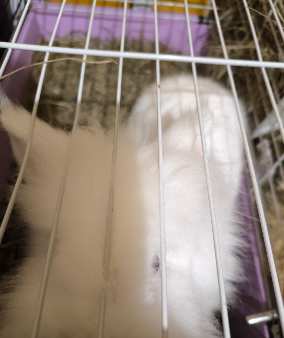 Малыши детям в радость