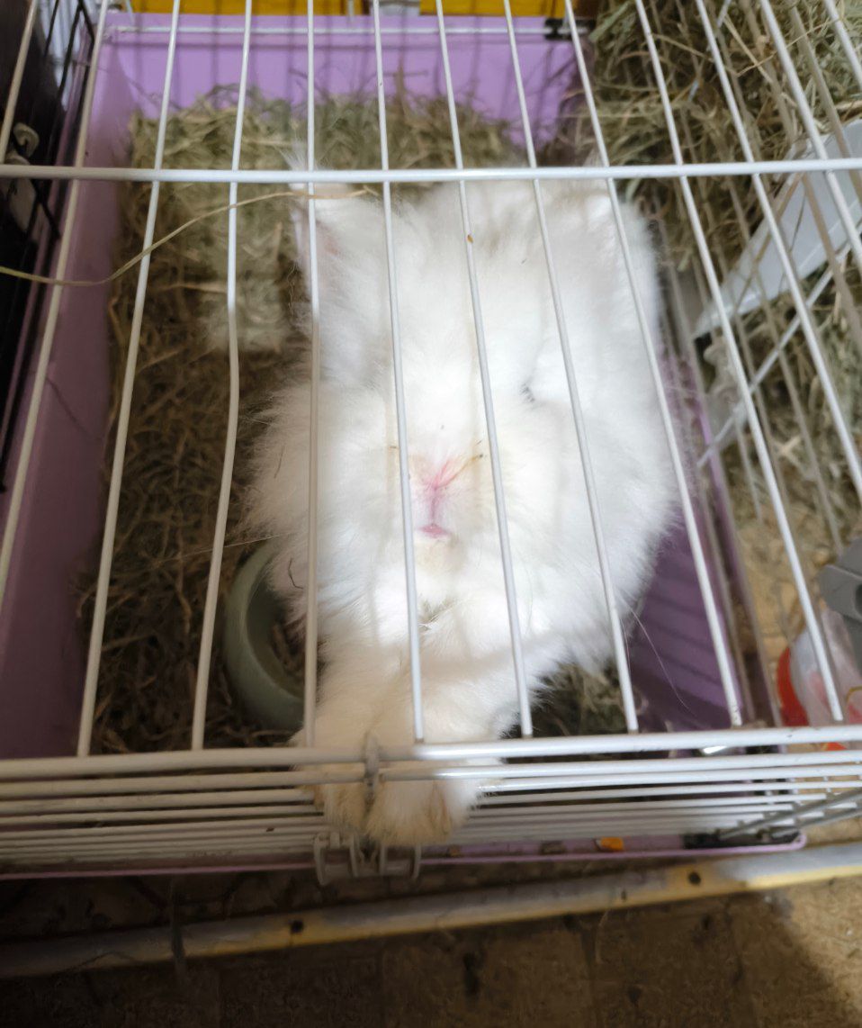 Малыши детям в радость