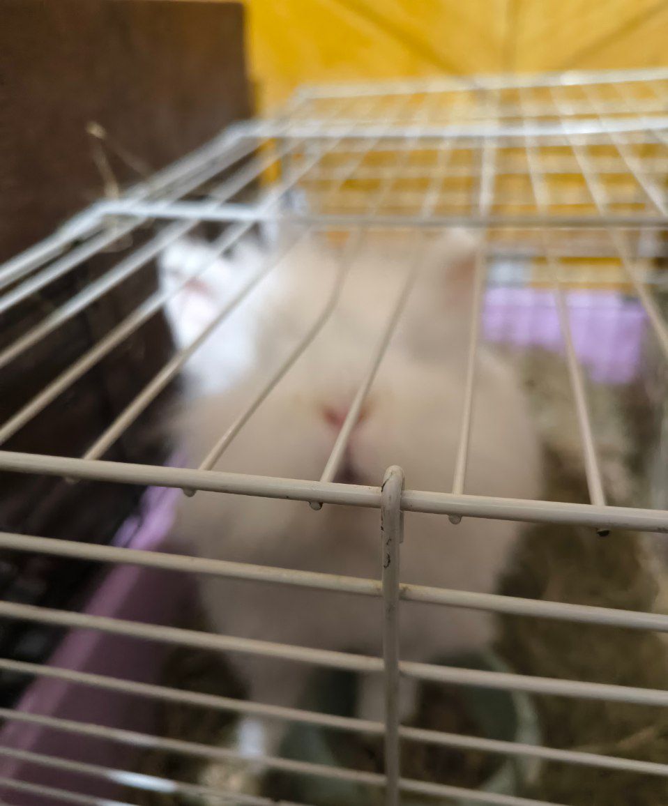 Малыши детям в радость