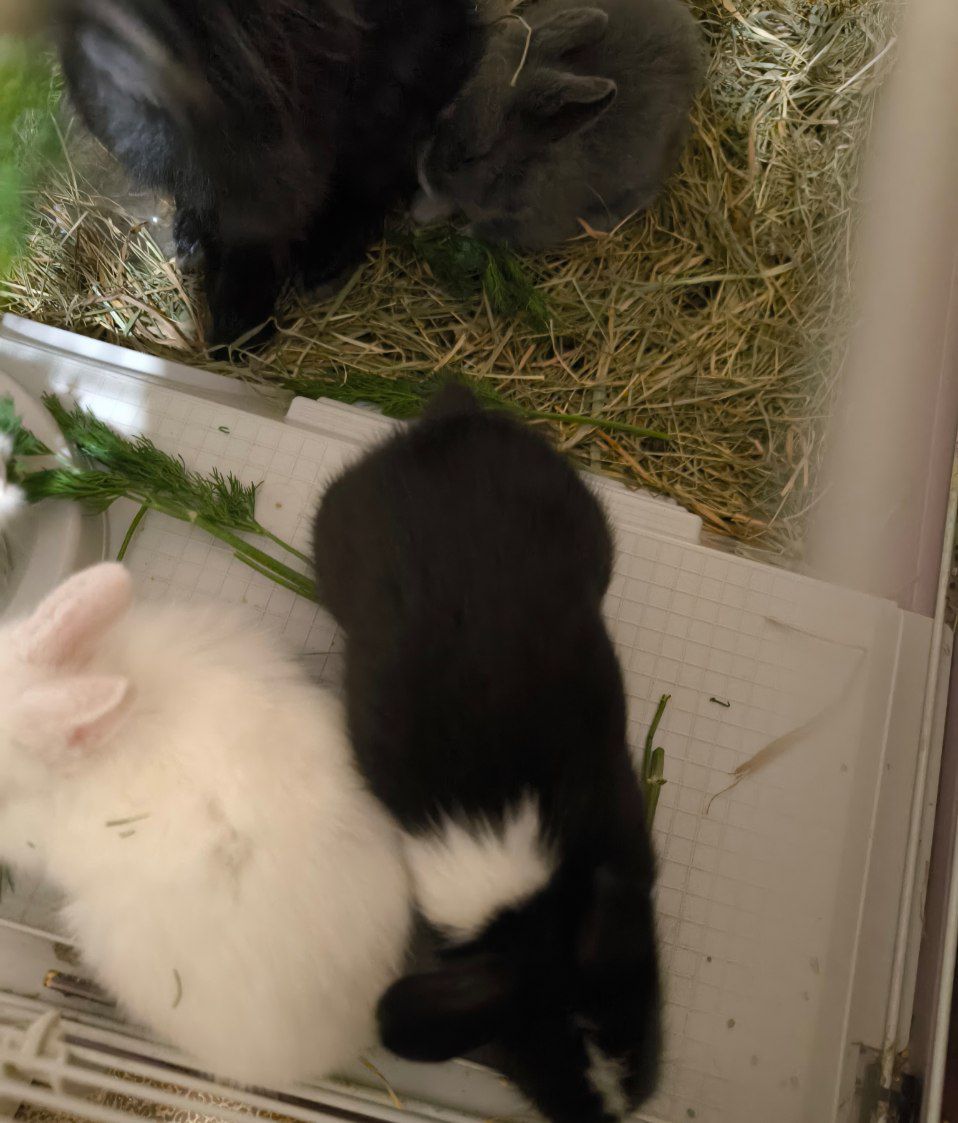 Малыши детям в радость