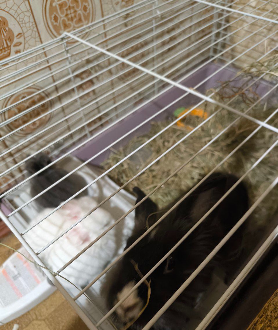 Малыши детям в радость