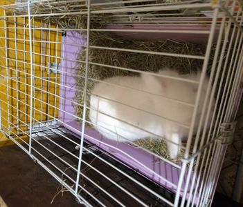 Малыши детям в радость