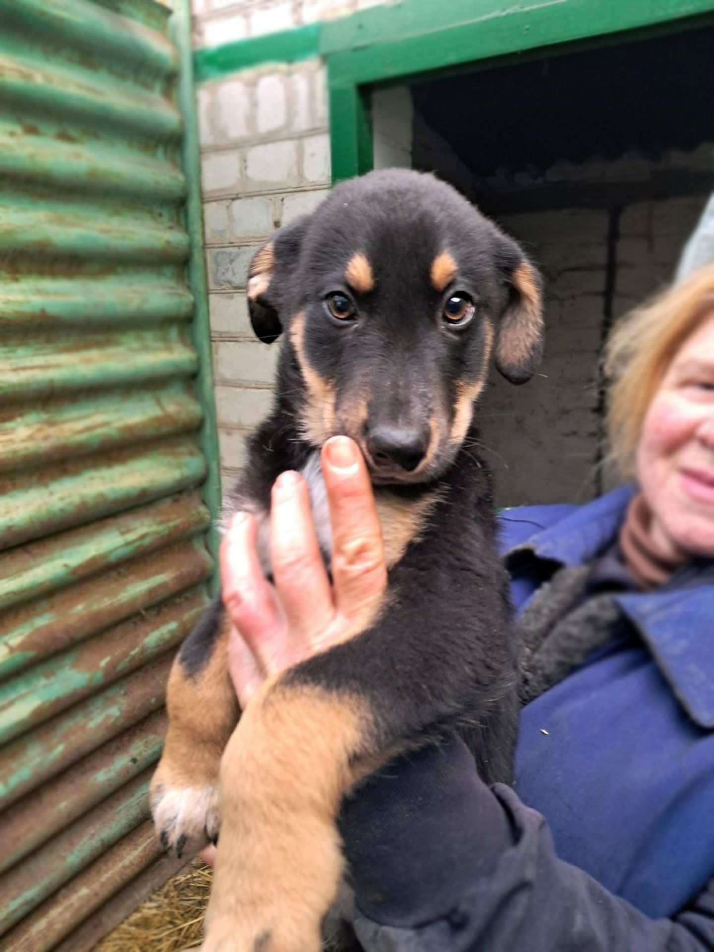 Цуценя Ерік