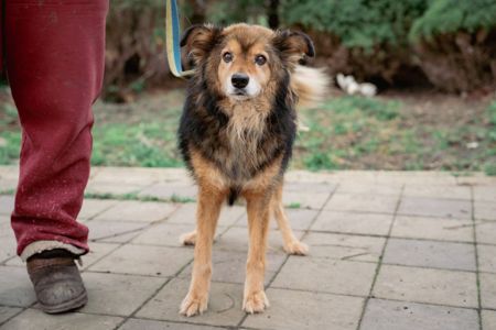 Пухнастий позитив Кузя