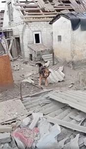 Пухнастий позитив Кузя