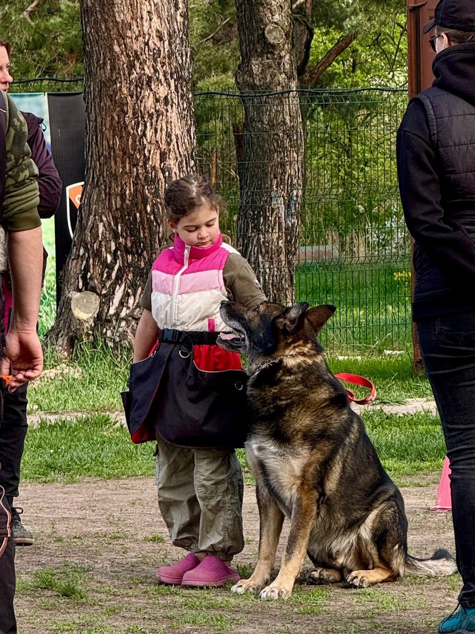 Дівчинка німецької вівчарки