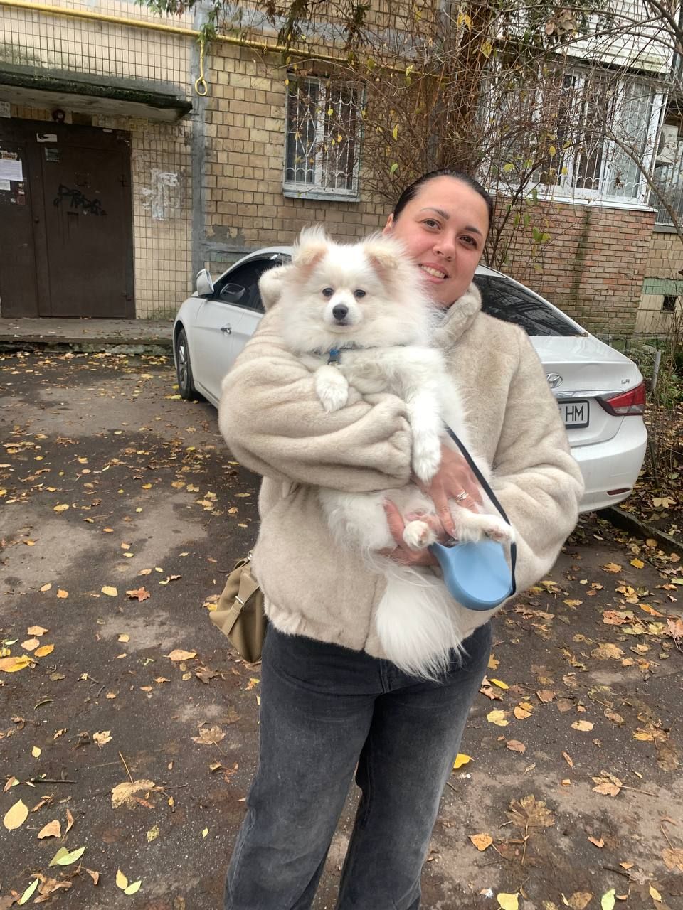 Продається Німецький шпіц (стандарт) Річард — ніжне, радісне й доглянуте цуценя 7 місяців