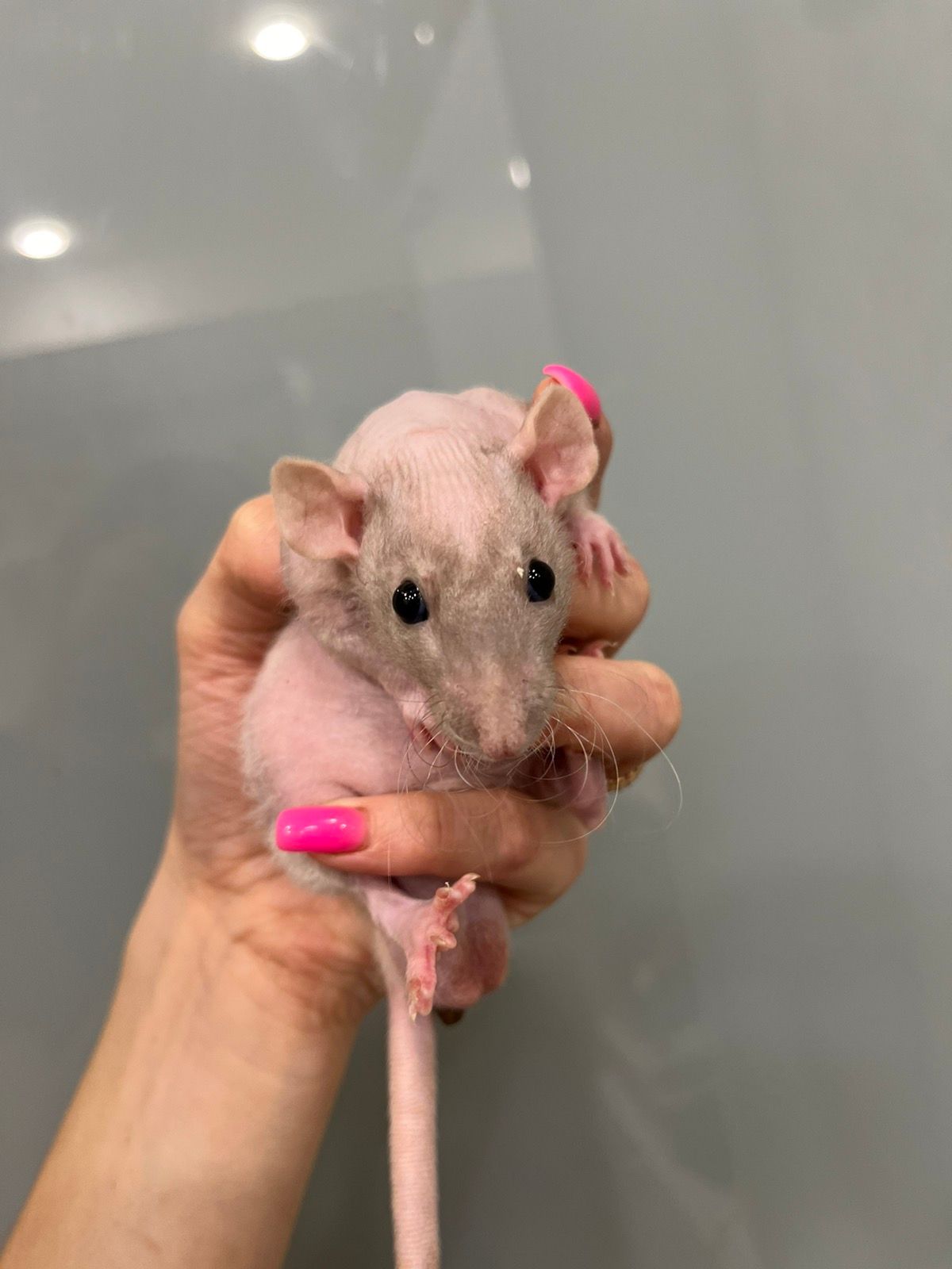 Маленька дівчинка гола