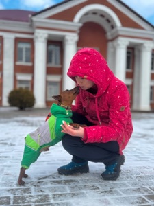 Елегантний хлопчик цвергпінчер