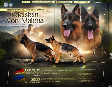 Високородна принцеса, шоу клас