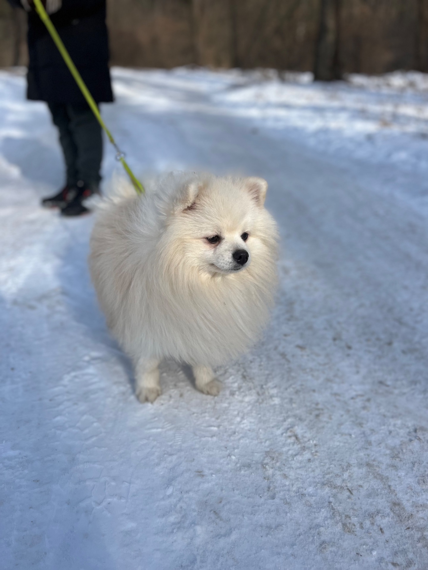 Неймовірний хлопчик