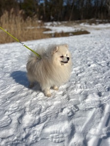 Неймовірний хлопчик