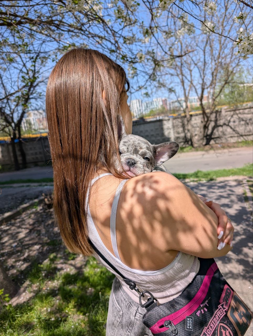 Цуценя