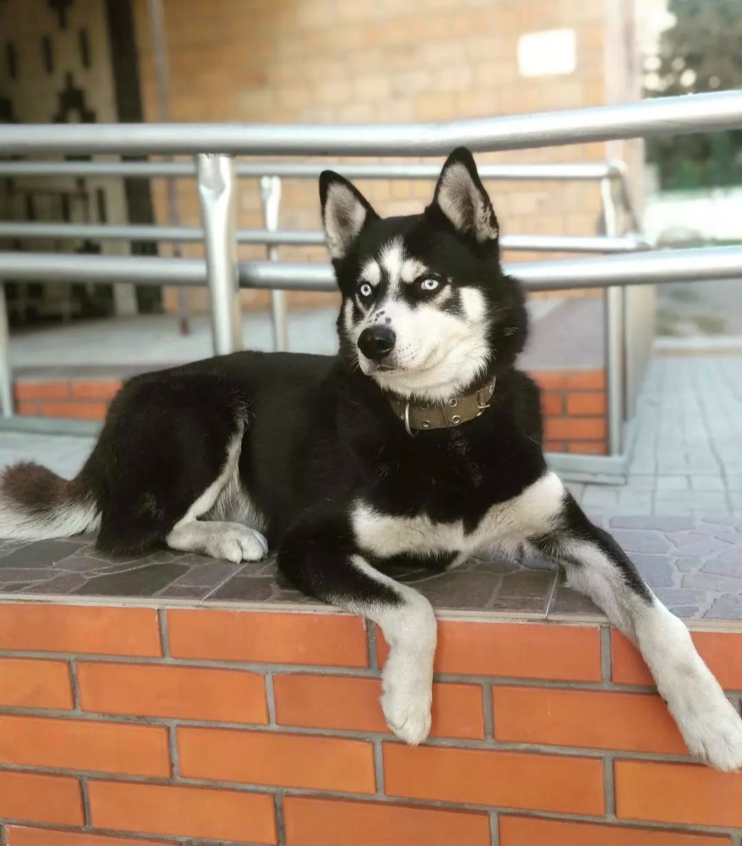 Вязка, пошук сучки