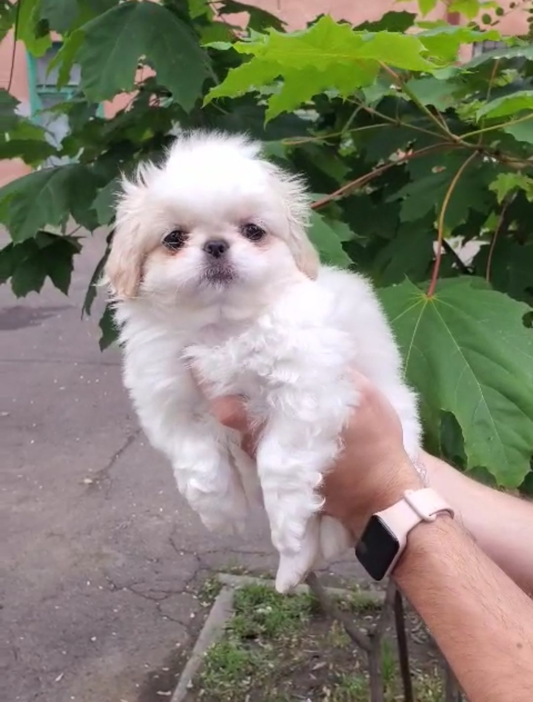 Милая малышка