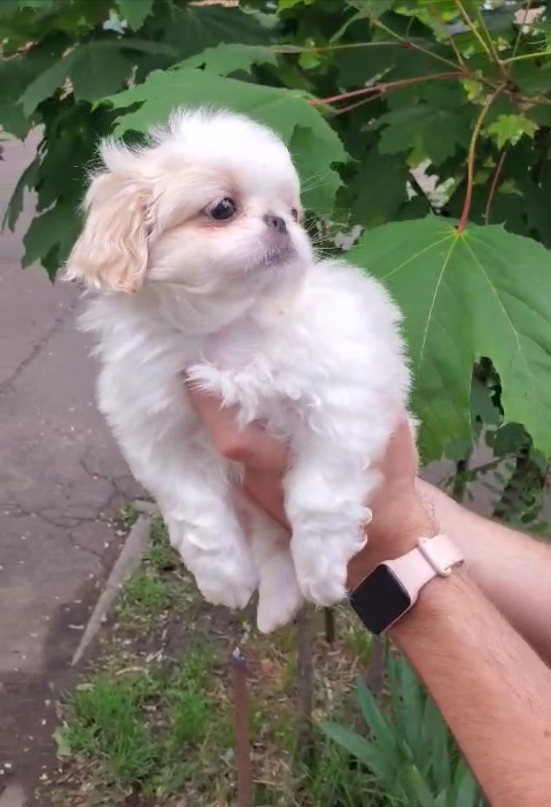Милая малышка