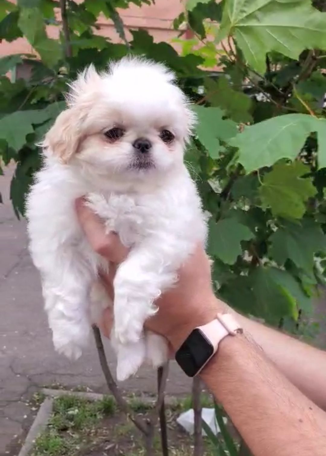 Милая малышка