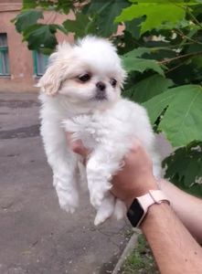 Милая малышка