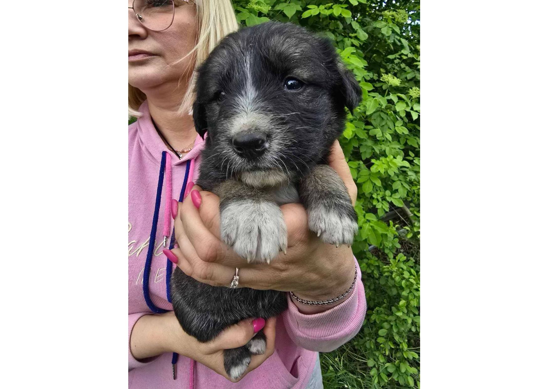 Терміново шукаємо родини для маленьких комочків щастя!