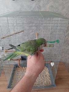 Монах