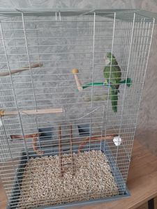Монах