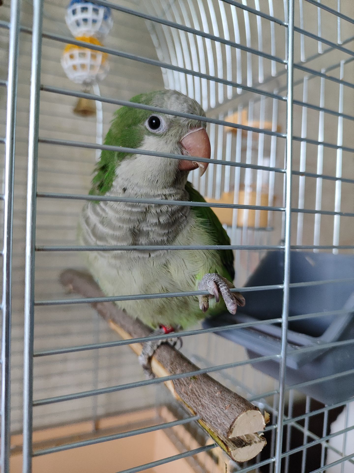 Монах