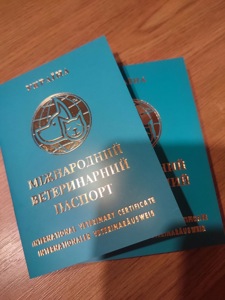 Цуценята йоркширського тер’єра — породисті малюки шукають дім!