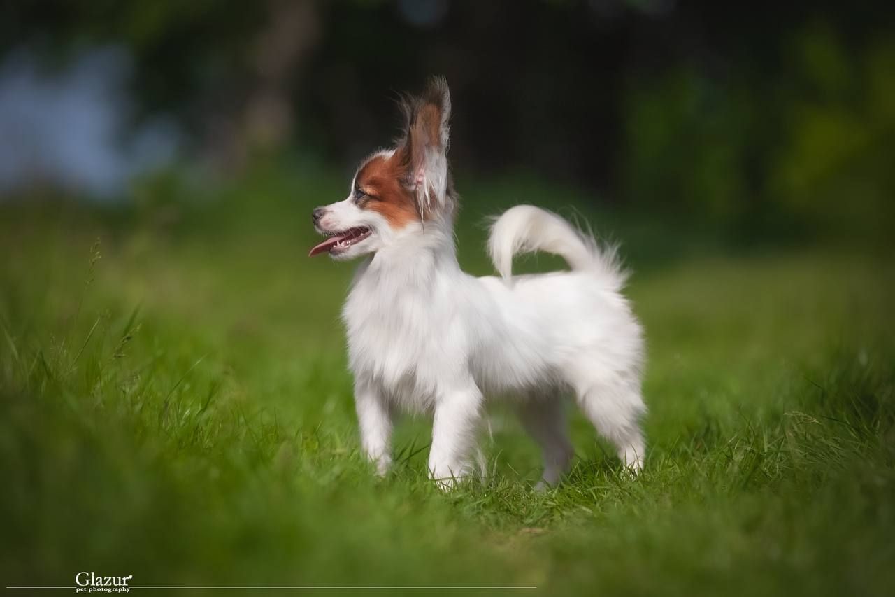 Дуже гарний хлопчик