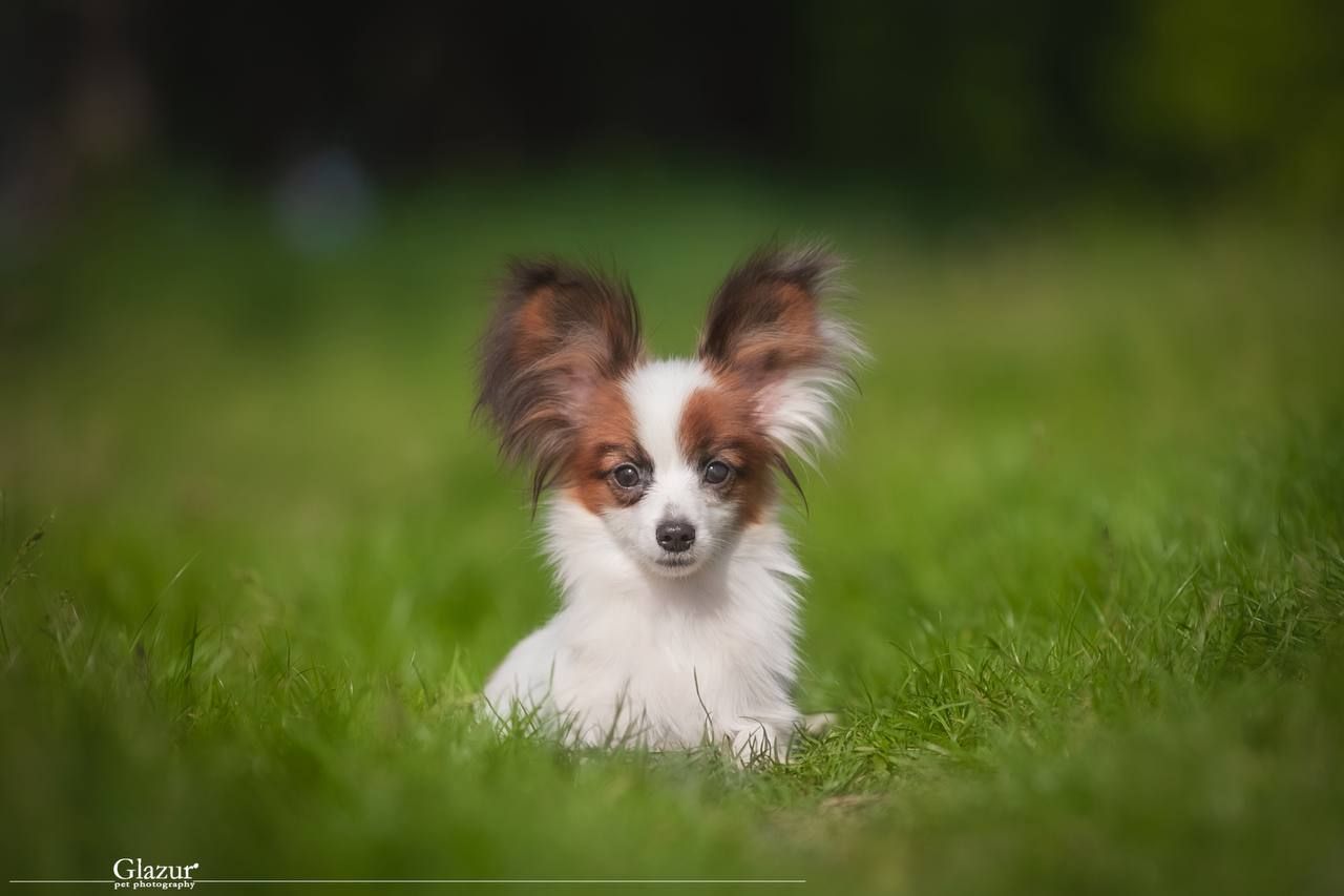 Дуже гарний хлопчик