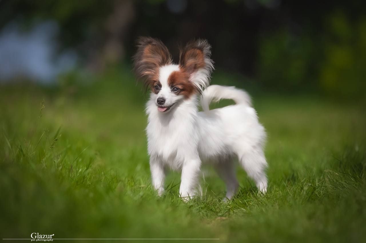 Дуже гарний хлопчик