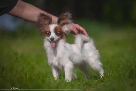 Дуже гарний хлопчик