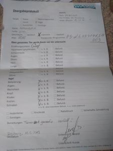 Продам молодих ожерелових папуг