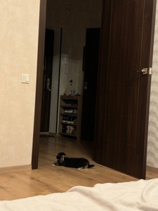 Кролик