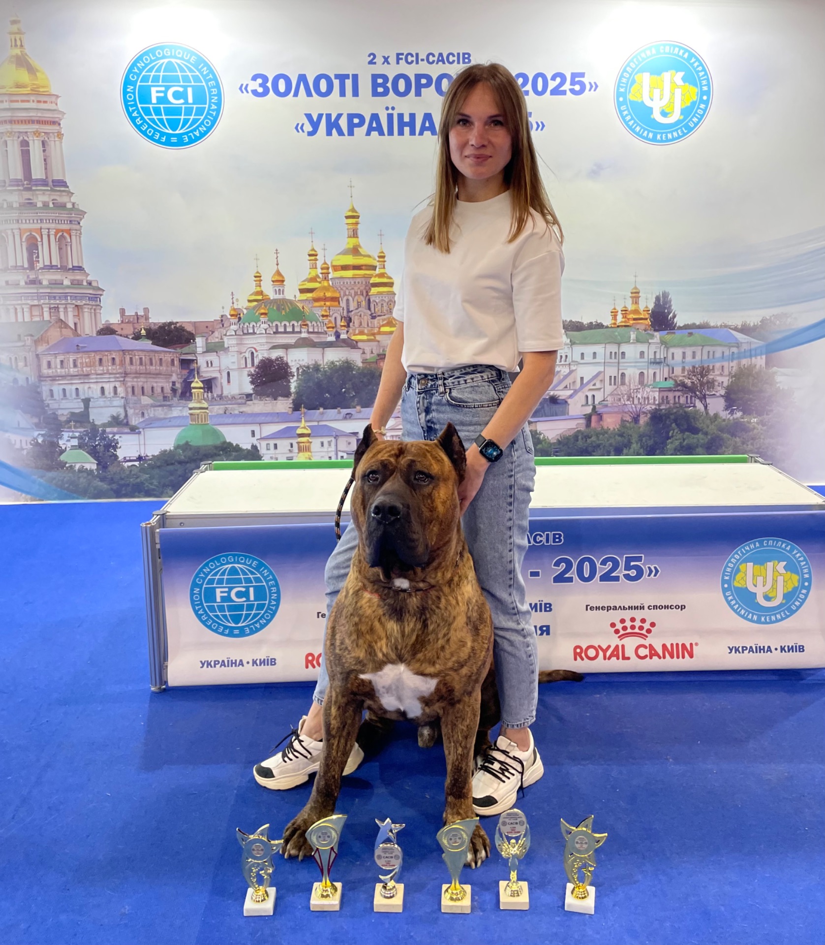 Цуценя Канарського дога (преса канаріо)