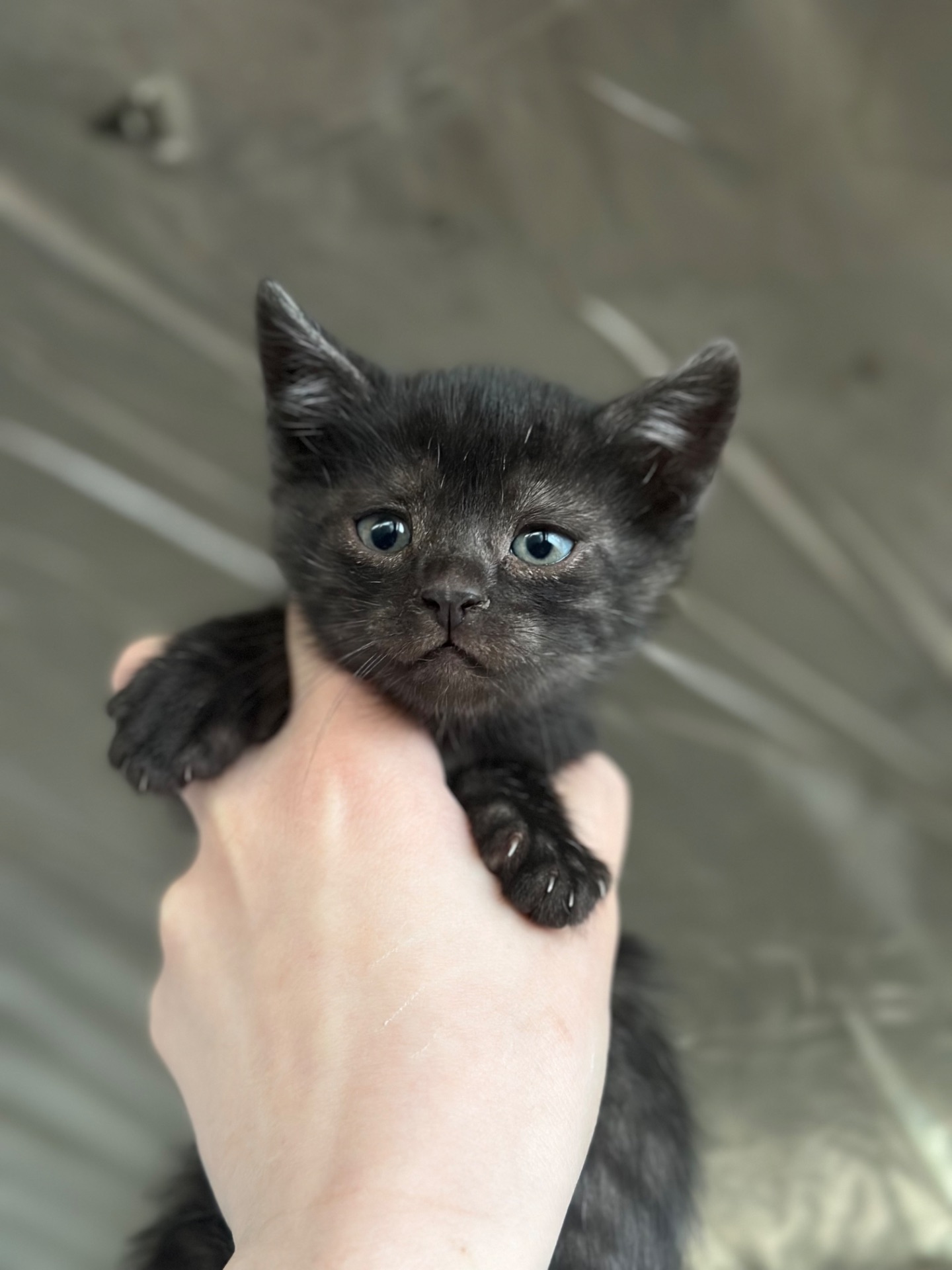 Маленький хлопчик