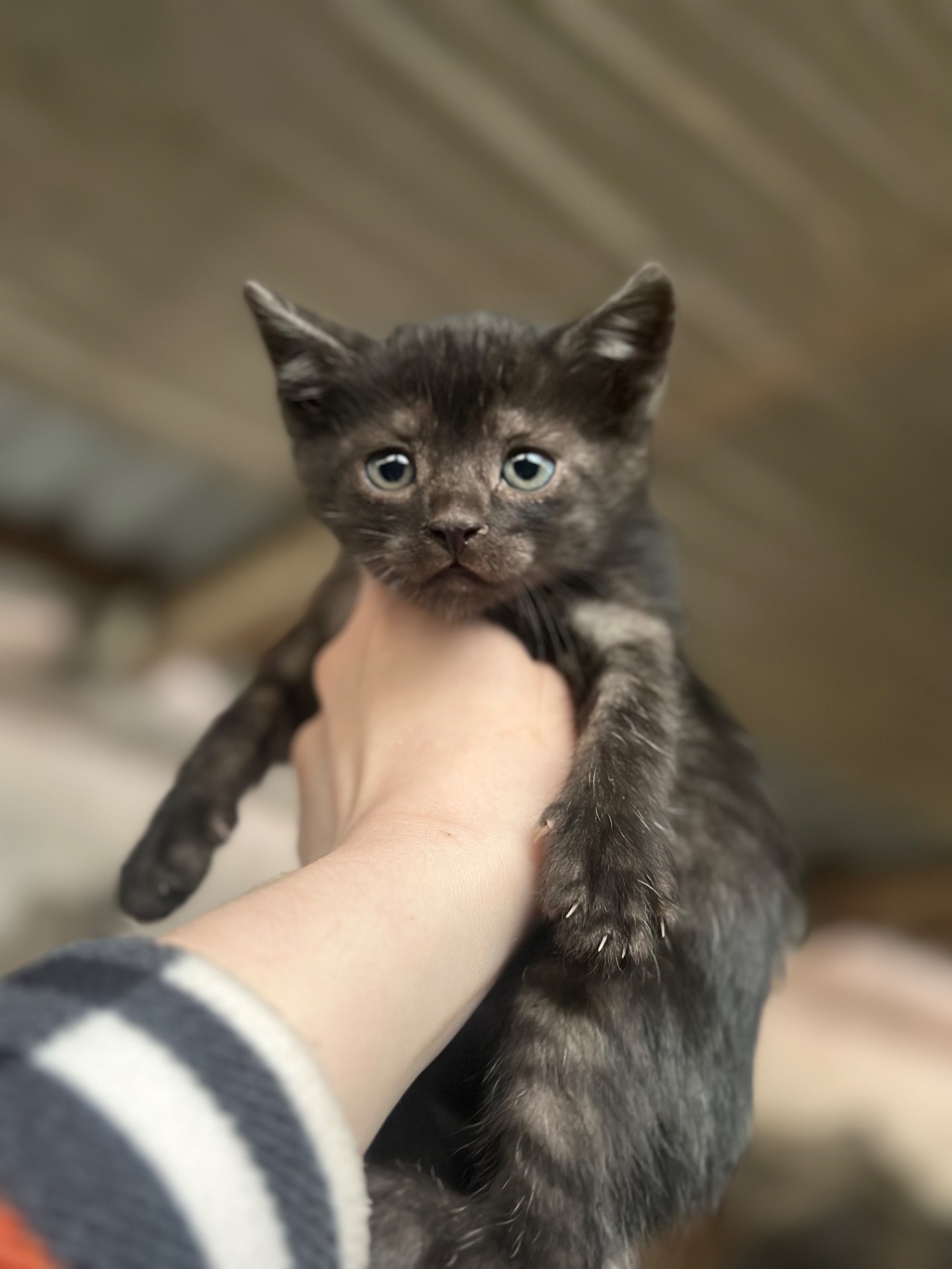 Маленький хлопчик