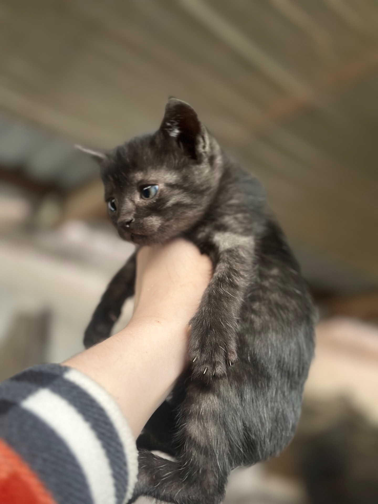 Маленький хлопчик