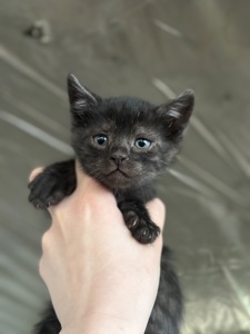 Маленький хлопчик