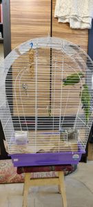 Монах (каліта)
