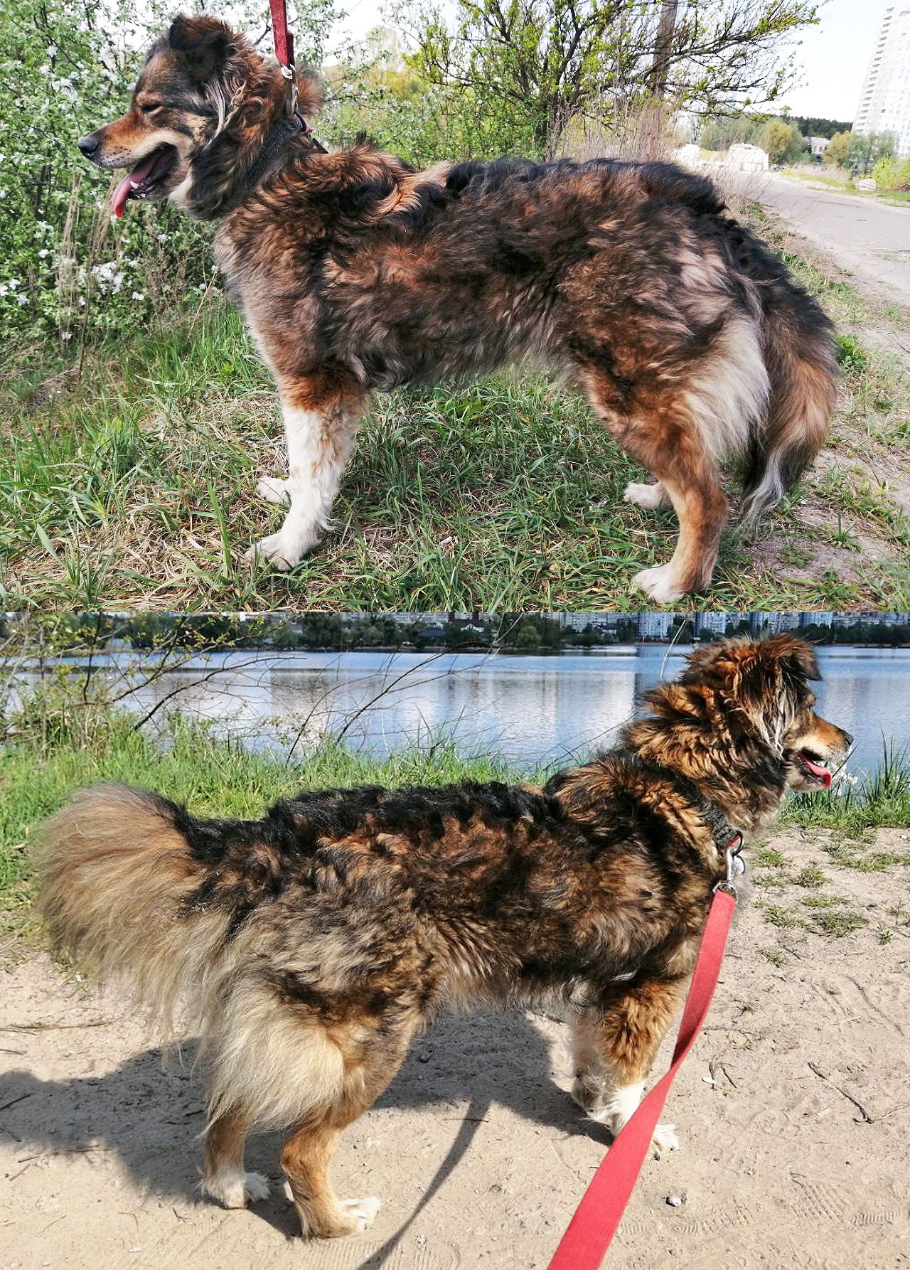 Алфіра, дівчинка, 3 роки, вакцинована