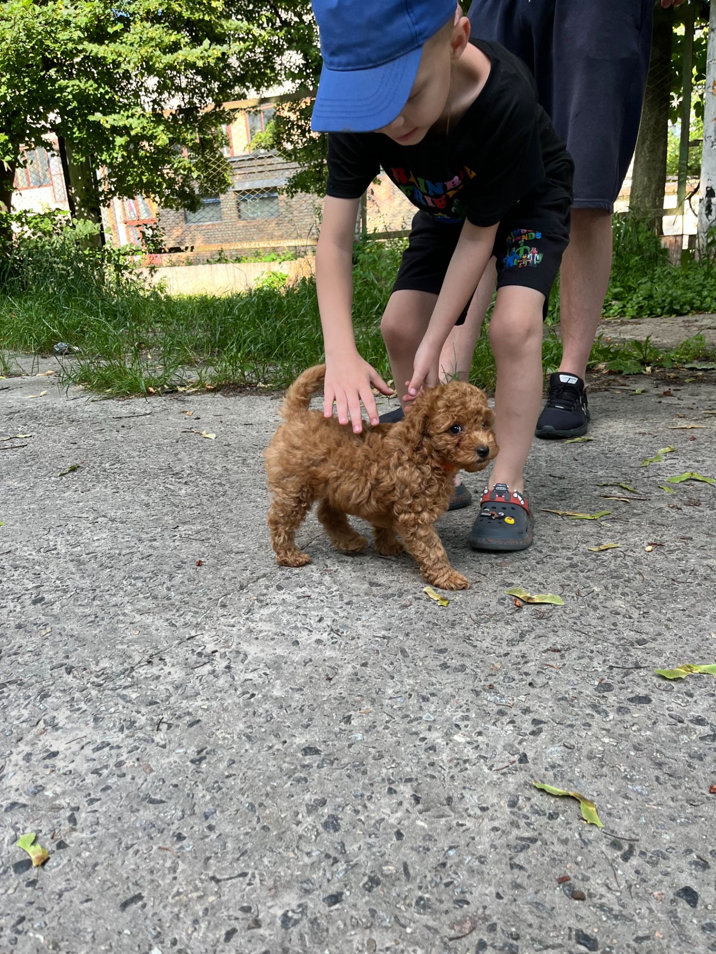 Той пудель хлопчик