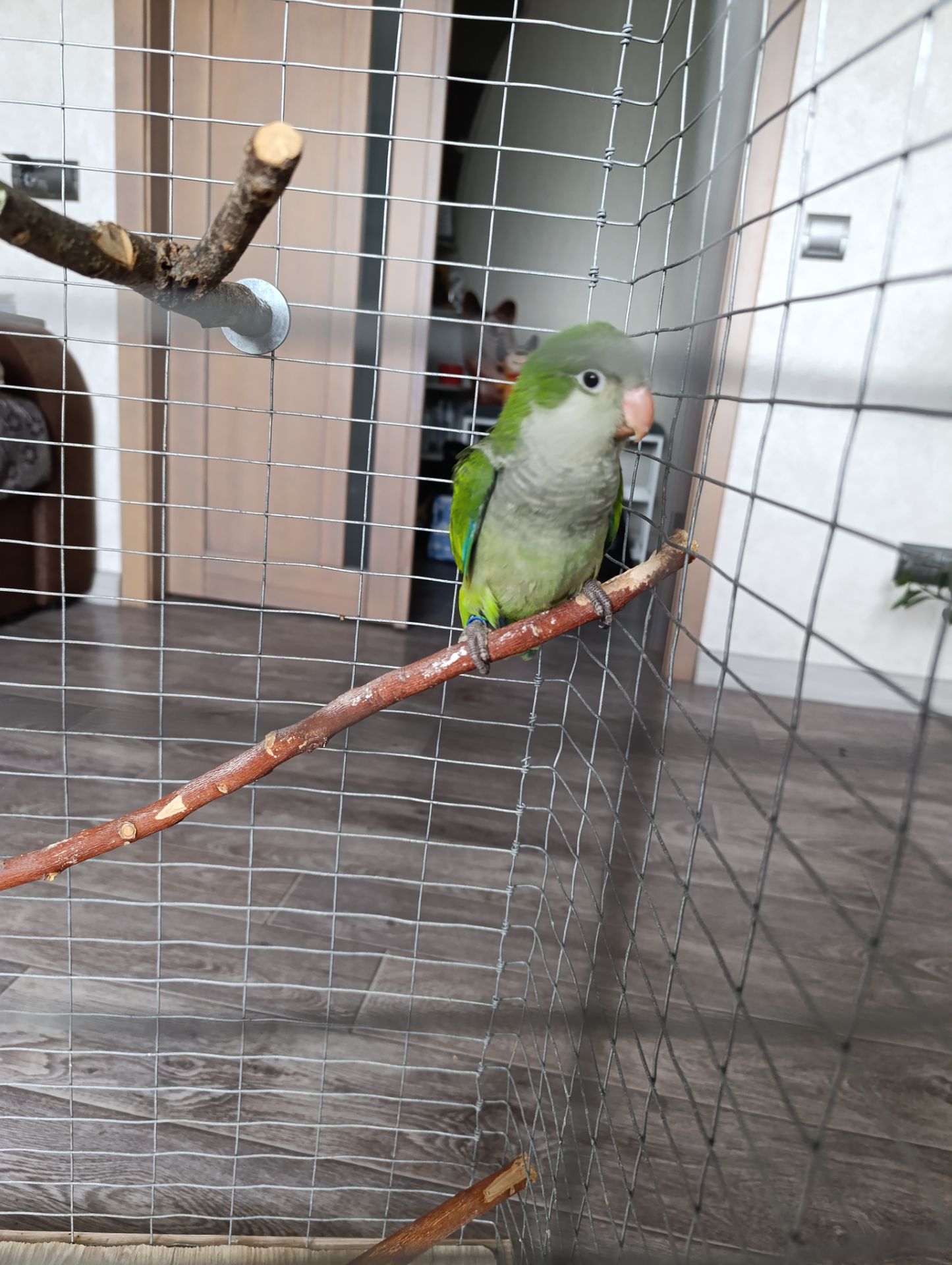 Монах