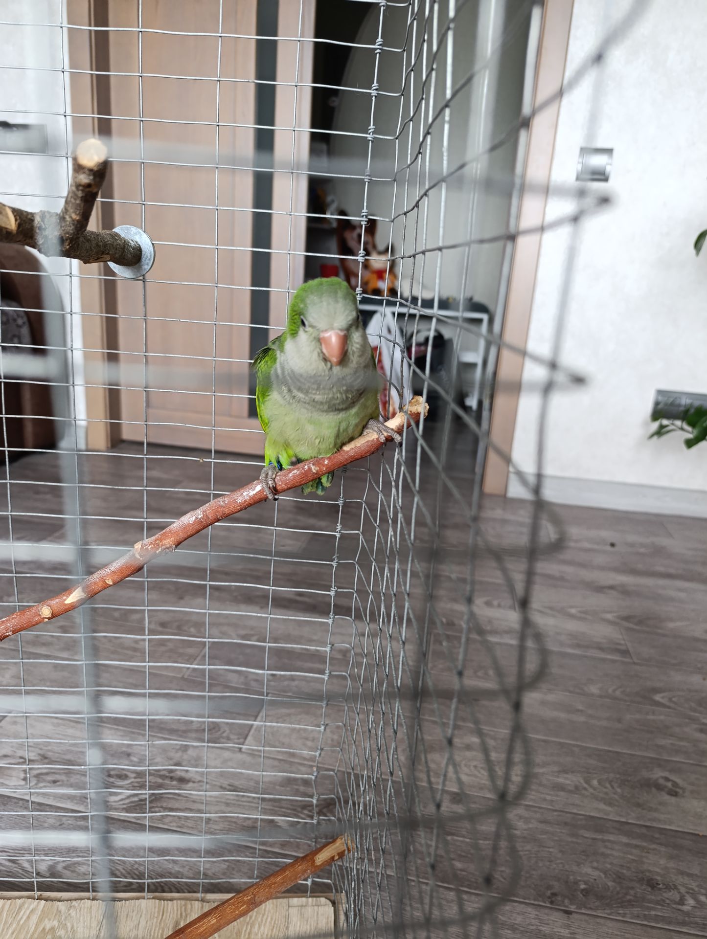 Монах