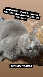Джавелін