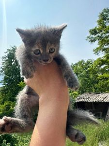 Люся
