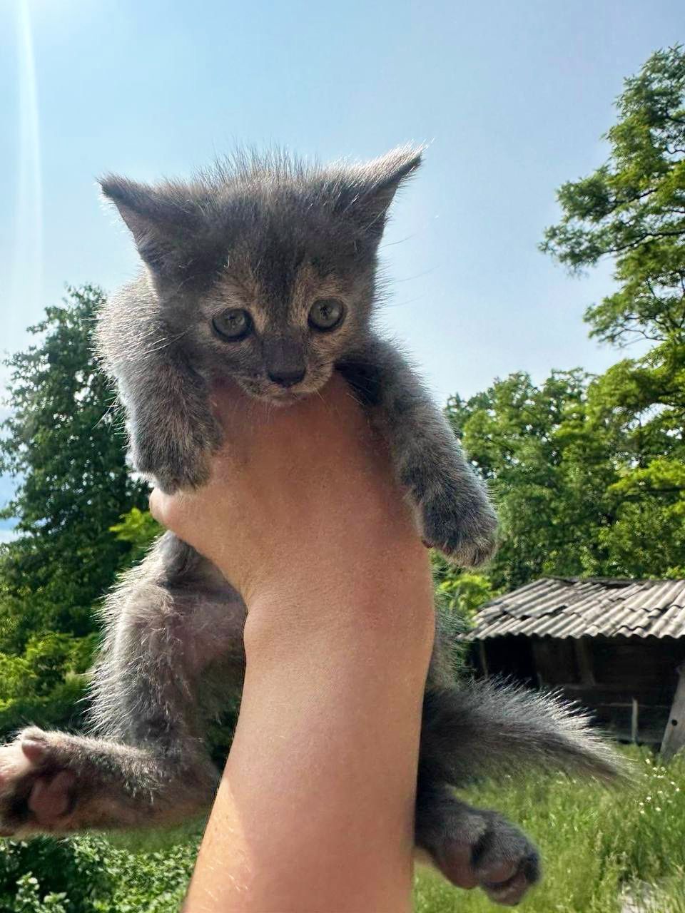 Люся
