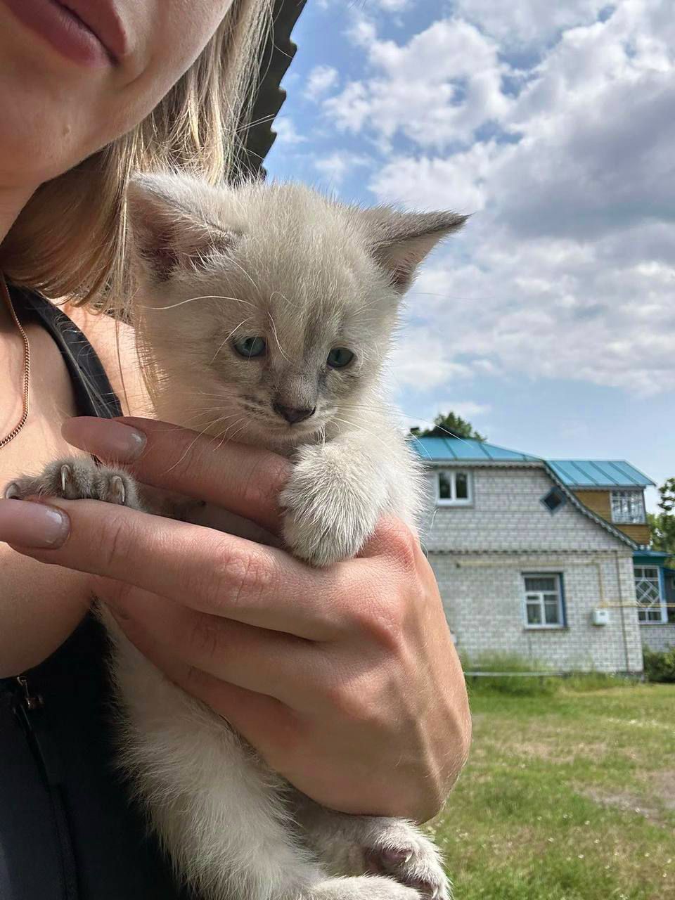 Ліза