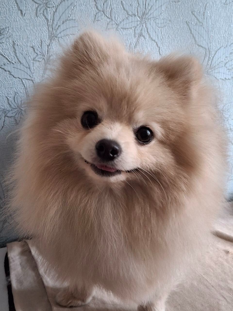 Маленький Бєня
